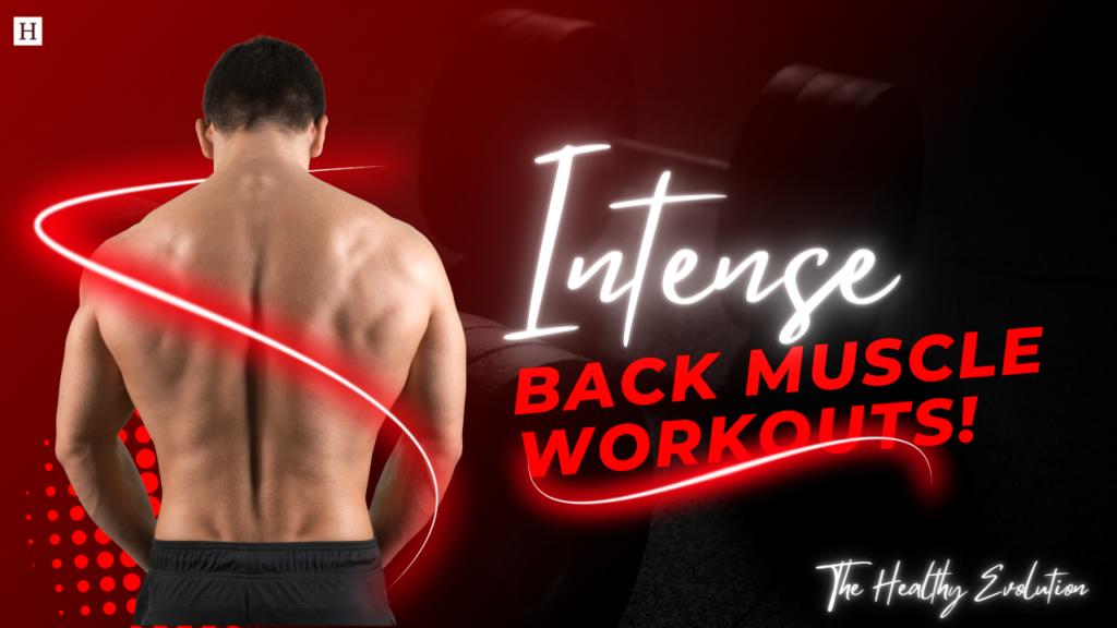 Back workouts