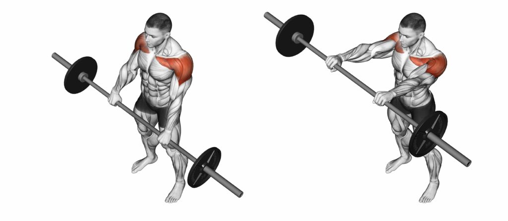 Anterior deltoid exercises